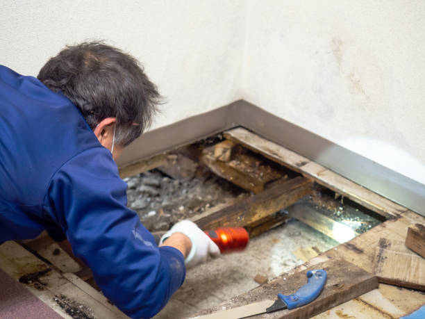 Best Attic Mold Removal  in Big Bass Lake, PA