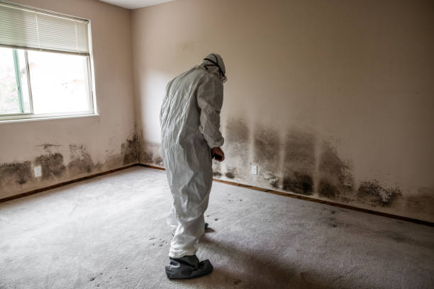 Best Residential Mold Removal  in Big Bass Lake, PA