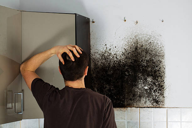 Water Damage Restoration in Big Bass Lake, PA